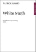 White Moth